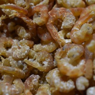 Dried Shrimp